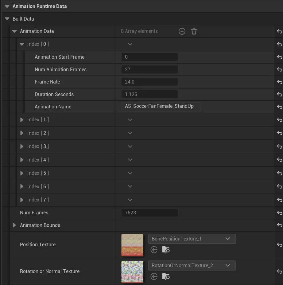 Animation Runtime Data